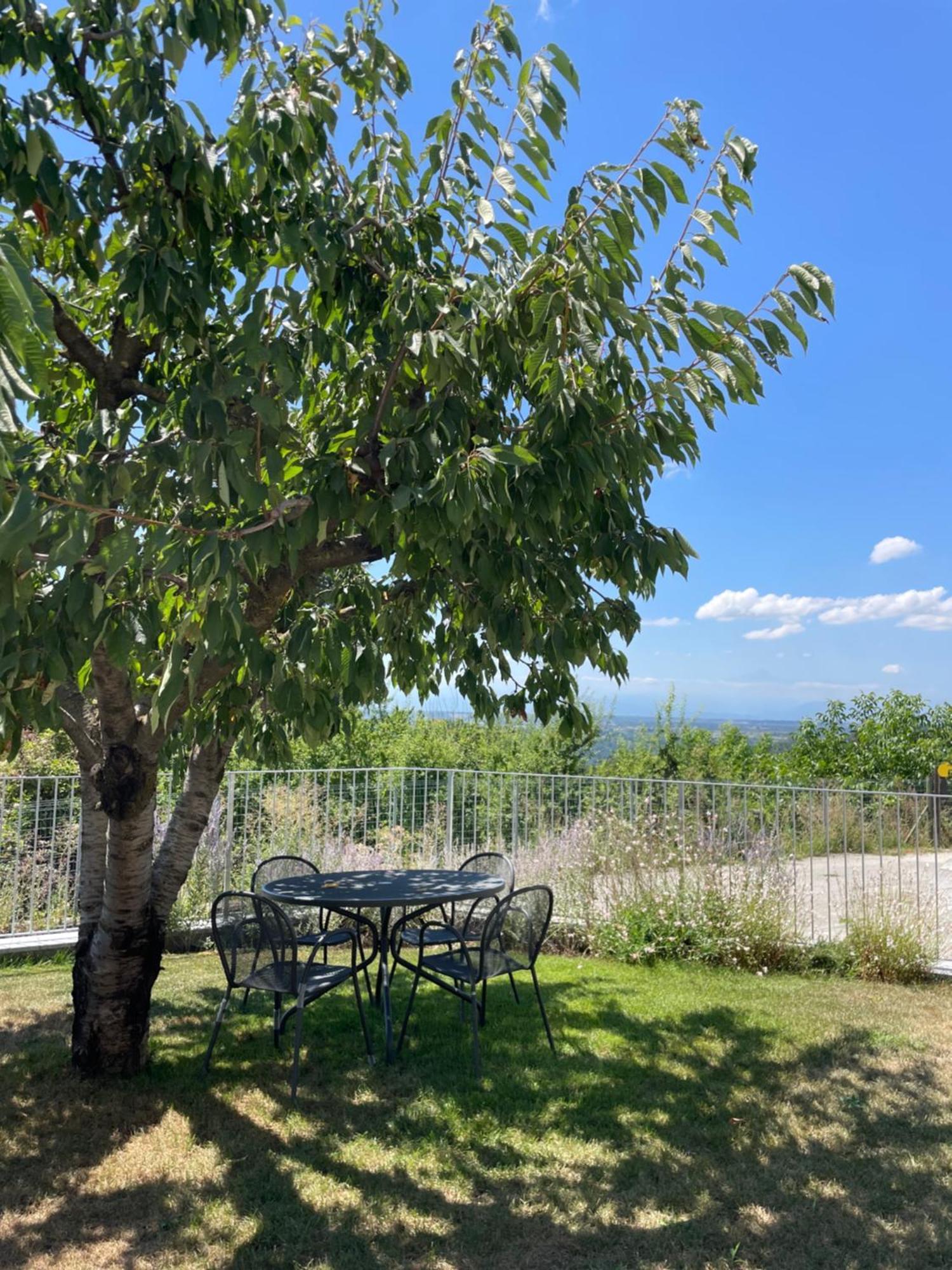 Agriturismo Le Viole Бароло Экстерьер фото